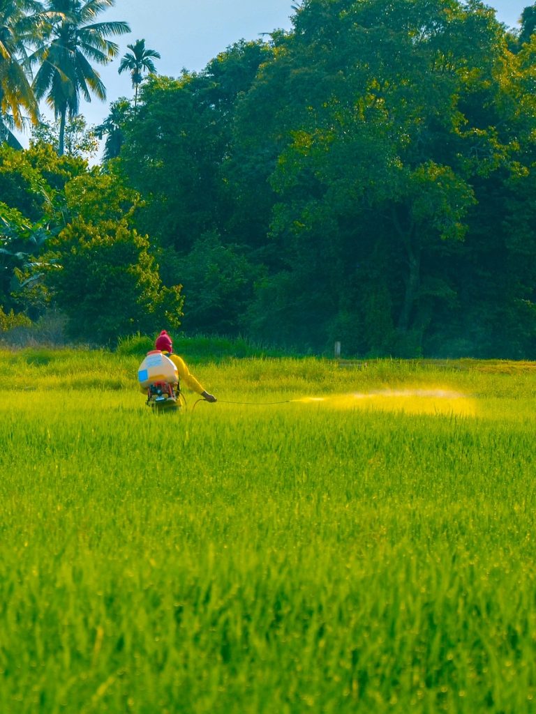 grass-fed meat pesticide free